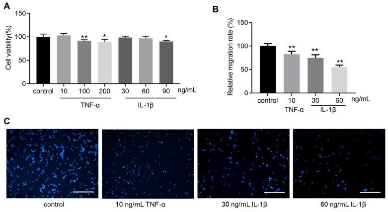 https://cdn.ncbi.nlm.nih.gov/pmc/blobs/7193/12109179/dfb35aa40fdb/bioengineering-12-00457-g002.jpg