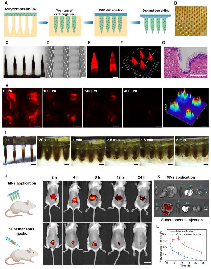 https://cdn.ncbi.nlm.nih.gov/pmc/blobs/7194/11519795/43544daba3ce/thnov14p6571g003.jpg
