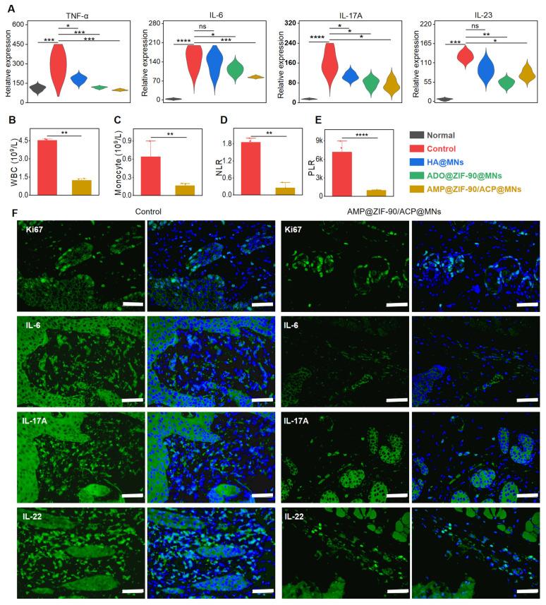 https://cdn.ncbi.nlm.nih.gov/pmc/blobs/7194/11519795/bee68a8e2d1a/thnov14p6571g006.jpg