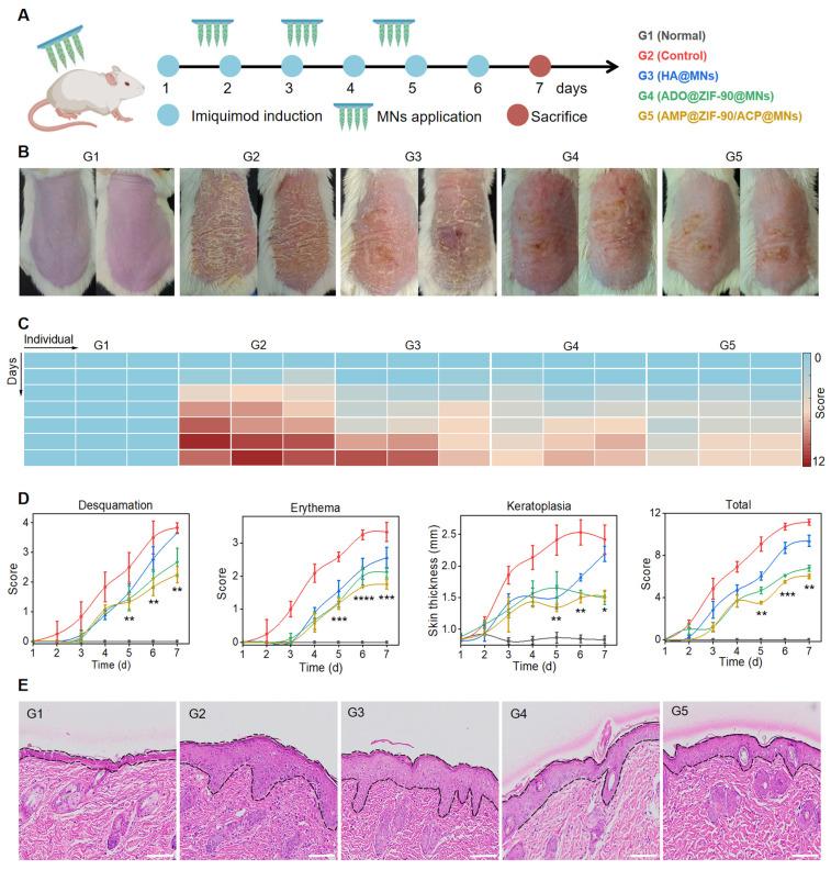 https://cdn.ncbi.nlm.nih.gov/pmc/blobs/7194/11519795/c6631bf828ee/thnov14p6571g004.jpg