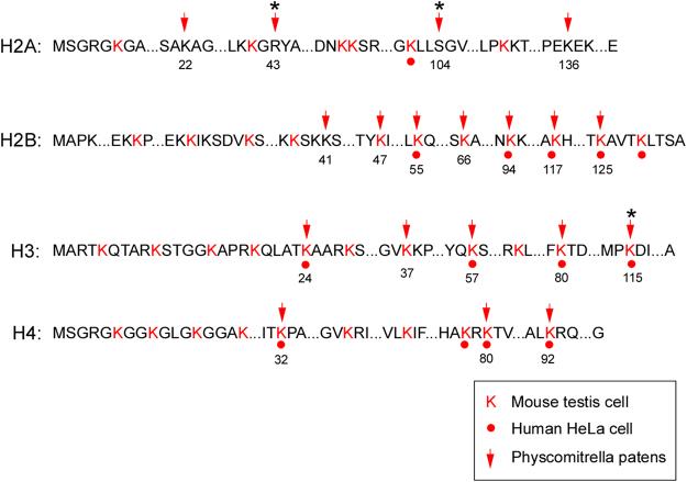 https://cdn.ncbi.nlm.nih.gov/pmc/blobs/7195/5686104/00afad11095e/41598_2017_15854_Fig5_HTML.jpg