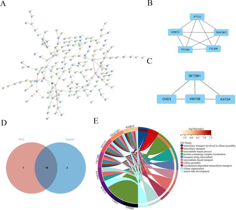 https://cdn.ncbi.nlm.nih.gov/pmc/blobs/7198/10943877/10cc50843707/13048_2024_1386_Fig3_HTML.jpg
