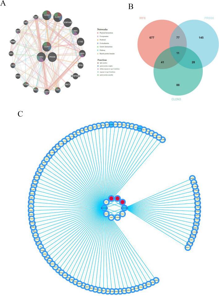 https://cdn.ncbi.nlm.nih.gov/pmc/blobs/7198/10943877/16b5837cfba0/13048_2024_1386_Fig7_HTML.jpg