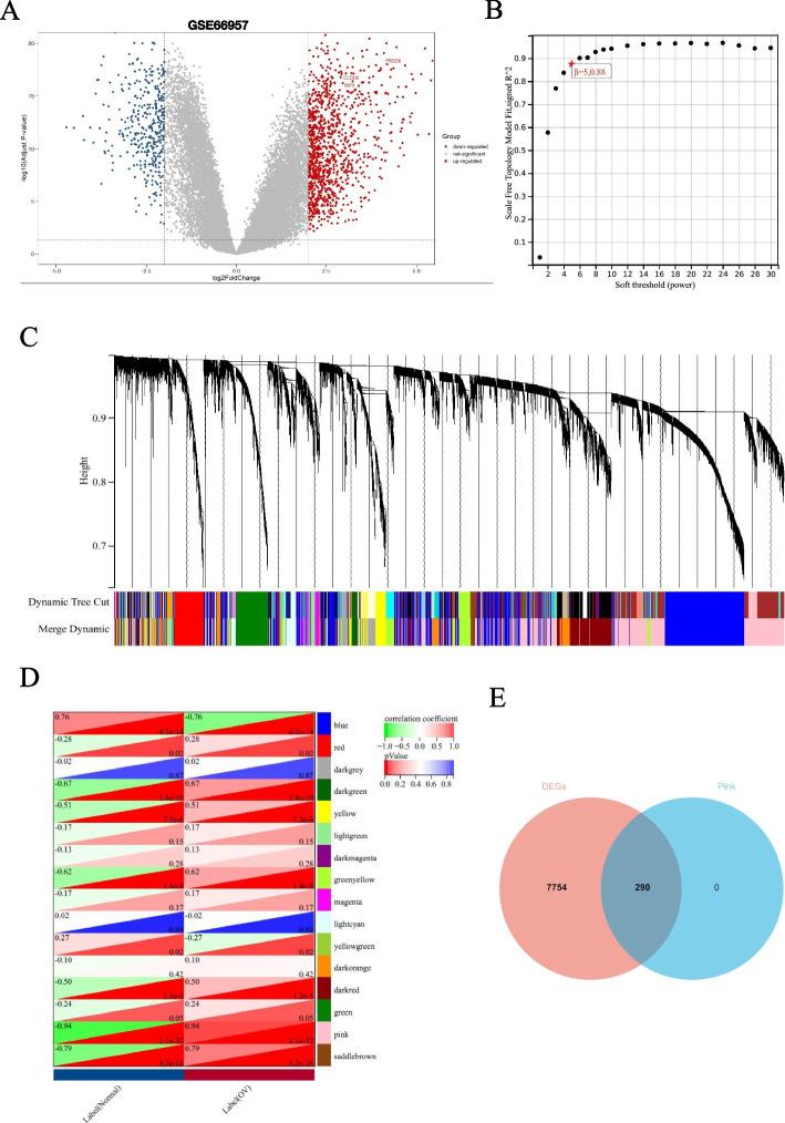 https://cdn.ncbi.nlm.nih.gov/pmc/blobs/7198/10943877/9d1b0b8dcc7d/13048_2024_1386_Fig1_HTML.jpg