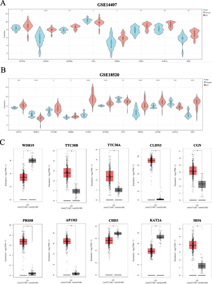 https://cdn.ncbi.nlm.nih.gov/pmc/blobs/7198/10943877/dba7fba8cff6/13048_2024_1386_Fig4_HTML.jpg