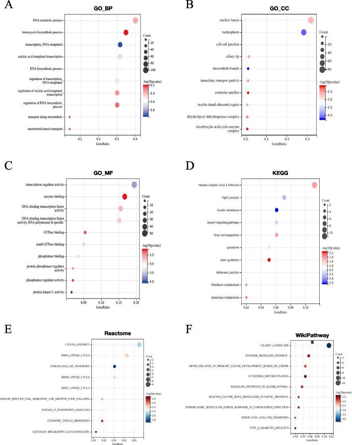 https://cdn.ncbi.nlm.nih.gov/pmc/blobs/7198/10943877/dc2bcebfba83/13048_2024_1386_Fig2_HTML.jpg