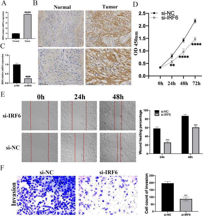 https://cdn.ncbi.nlm.nih.gov/pmc/blobs/7198/10943877/f3322132b65b/13048_2024_1386_Fig8_HTML.jpg