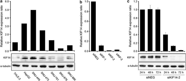 https://cdn.ncbi.nlm.nih.gov/pmc/blobs/7199/4044675/2abda9a41e0e/emm201423f1.jpg