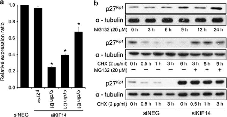 https://cdn.ncbi.nlm.nih.gov/pmc/blobs/7199/4044675/4015169bae26/emm201423f4.jpg