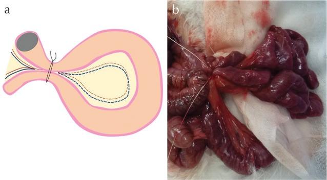 https://cdn.ncbi.nlm.nih.gov/pmc/blobs/7199/7232033/9bdca1ed53d9/mrms-19-125-g1.jpg