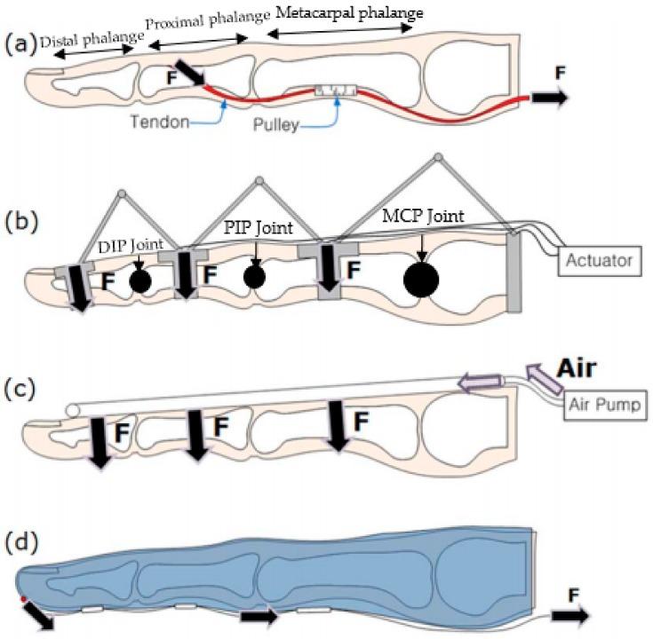 https://cdn.ncbi.nlm.nih.gov/pmc/blobs/719a/6352684/4e543060d148/biomimetics-03-00017-g001.jpg