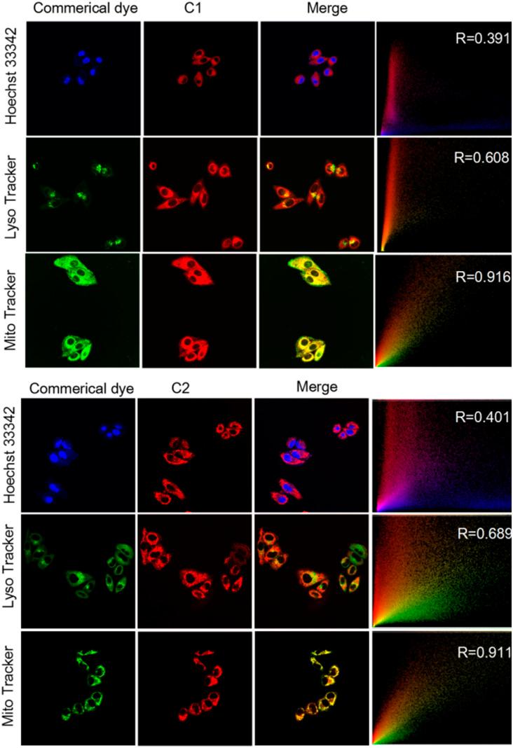 https://cdn.ncbi.nlm.nih.gov/pmc/blobs/719b/12376870/3f29390db234/d5ra05267j-f3.jpg