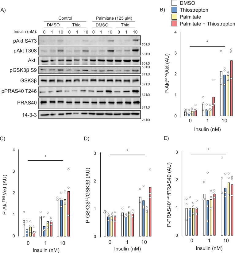 https://cdn.ncbi.nlm.nih.gov/pmc/blobs/719c/10371229/1ba59c88bdc2/elife-86961-fig6.jpg