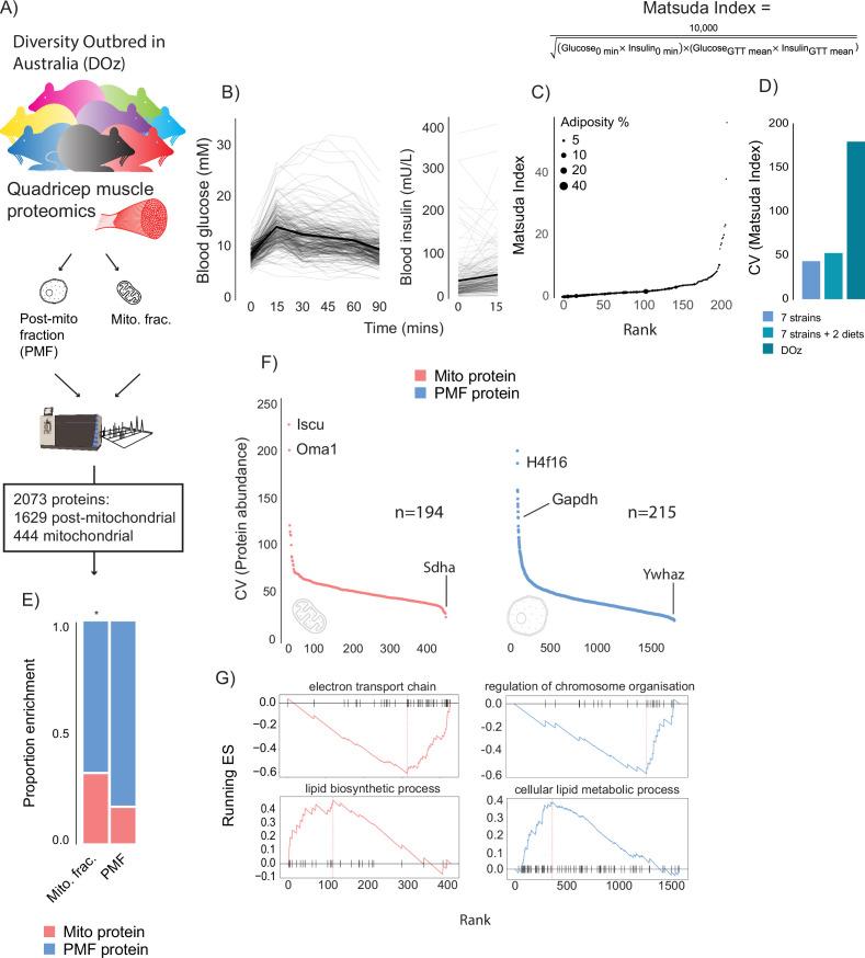 https://cdn.ncbi.nlm.nih.gov/pmc/blobs/719c/10371229/9f6a06f2bd2d/elife-86961-fig1.jpg