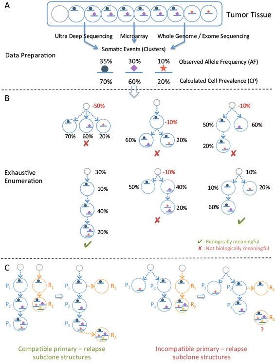 https://cdn.ncbi.nlm.nih.gov/pmc/blobs/719d/4180956/75e0469719f0/13059_2014_443_Fig1_HTML.jpg