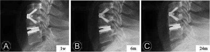 https://cdn.ncbi.nlm.nih.gov/pmc/blobs/719d/7545925/3609219a6a26/12891_2020_3664_Fig3_HTML.jpg
