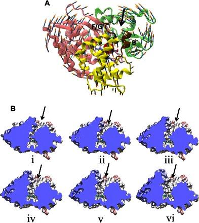 https://cdn.ncbi.nlm.nih.gov/pmc/blobs/719e/5065251/f22d258f41b3/1600886-F5.jpg