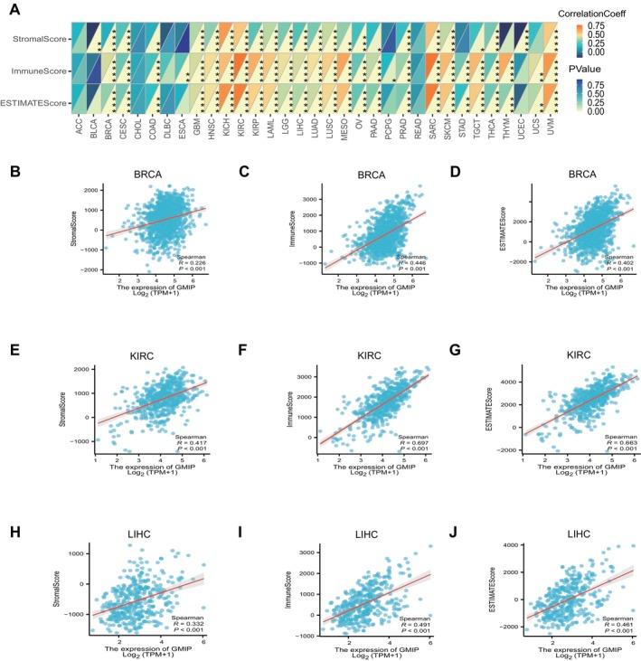 https://cdn.ncbi.nlm.nih.gov/pmc/blobs/71a0/12021672/ce77742d5b02/JCMM-29-e70476-g008.jpg