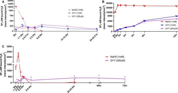 https://cdn.ncbi.nlm.nih.gov/pmc/blobs/71a0/7763704/ff38918327c7/JAH3-9-e016391-g002.jpg