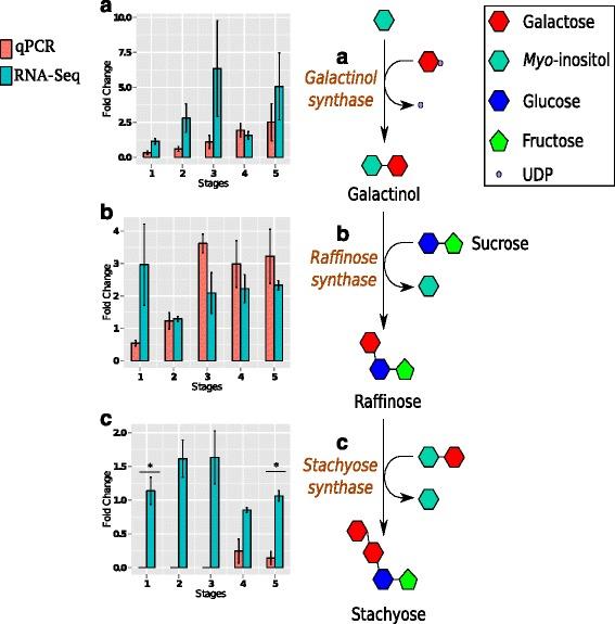 https://cdn.ncbi.nlm.nih.gov/pmc/blobs/71a1/4683714/0c00e495fe7a/12864_2015_2283_Fig7_HTML.jpg