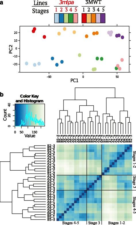 https://cdn.ncbi.nlm.nih.gov/pmc/blobs/71a1/4683714/6296c4f4bade/12864_2015_2283_Fig3_HTML.jpg