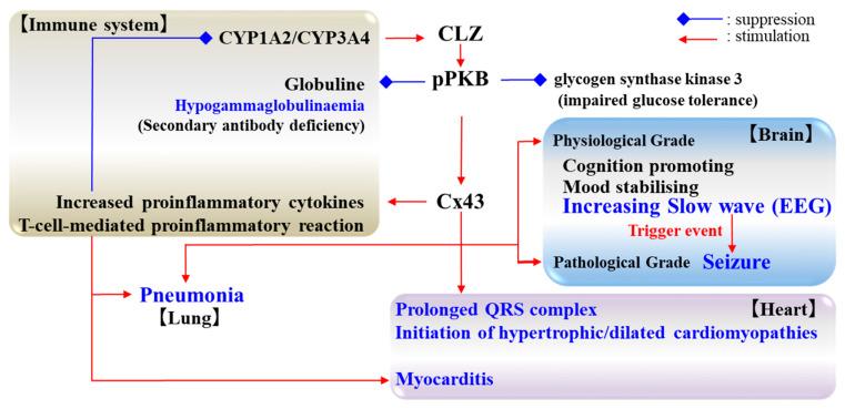 https://cdn.ncbi.nlm.nih.gov/pmc/blobs/71a1/7583770/befb36186eac/ijms-21-07019-g003.jpg