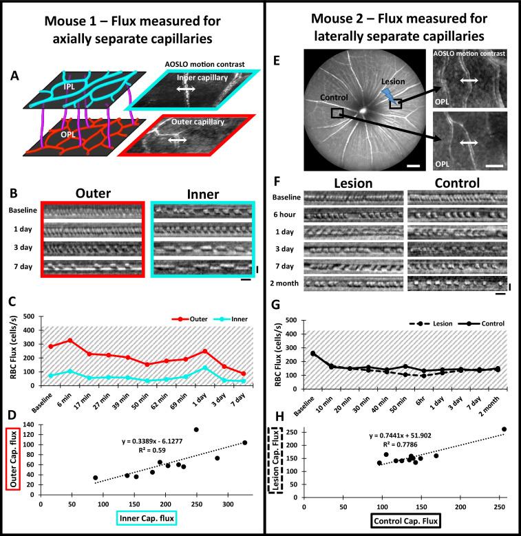 https://cdn.ncbi.nlm.nih.gov/pmc/blobs/71a2/12283074/bb00d59f5f2e/elife-98662-fig4-figsupp1.jpg