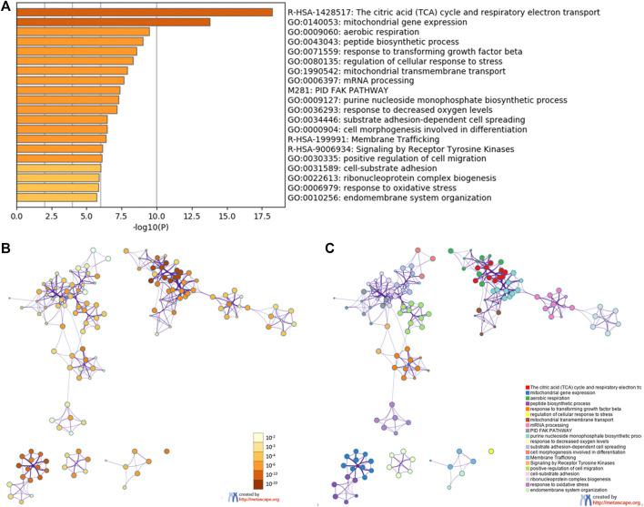 https://cdn.ncbi.nlm.nih.gov/pmc/blobs/71a2/8262238/bf73a1f51b7d/pore-27-1609768-g005.jpg