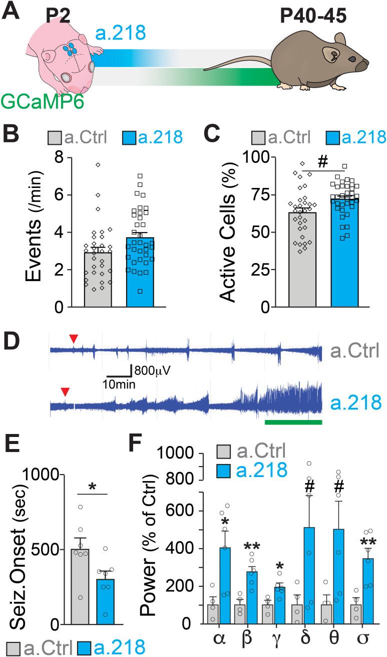 https://cdn.ncbi.nlm.nih.gov/pmc/blobs/71a5/10637775/6790e775537a/elife-82729-fig2.jpg