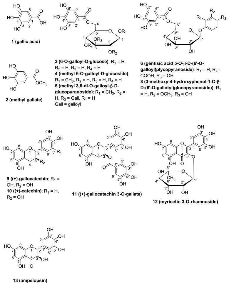 https://cdn.ncbi.nlm.nih.gov/pmc/blobs/71a5/3382783/f10b80b9d981/ijms-13-06073f1.jpg
