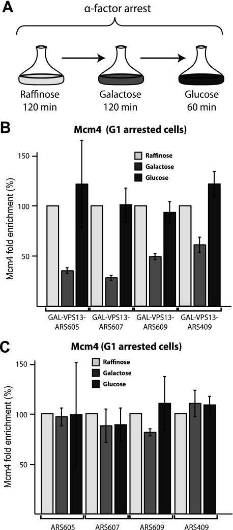 https://cdn.ncbi.nlm.nih.gov/pmc/blobs/71a8/3000982/767b08a70f81/zbc0031144040004.jpg