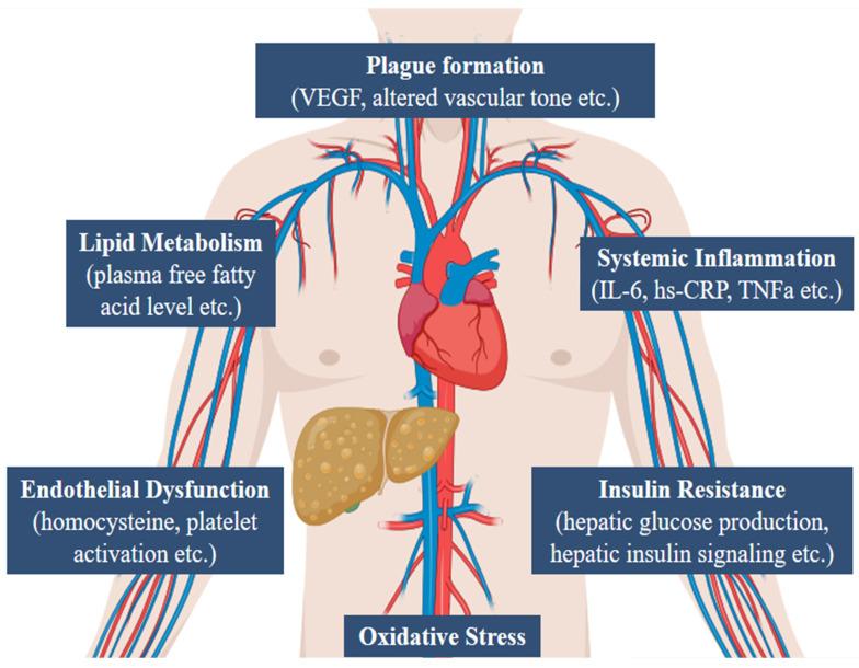 https://cdn.ncbi.nlm.nih.gov/pmc/blobs/71ab/11477211/174e3ae8a56d/ijms-25-10595-g001.jpg