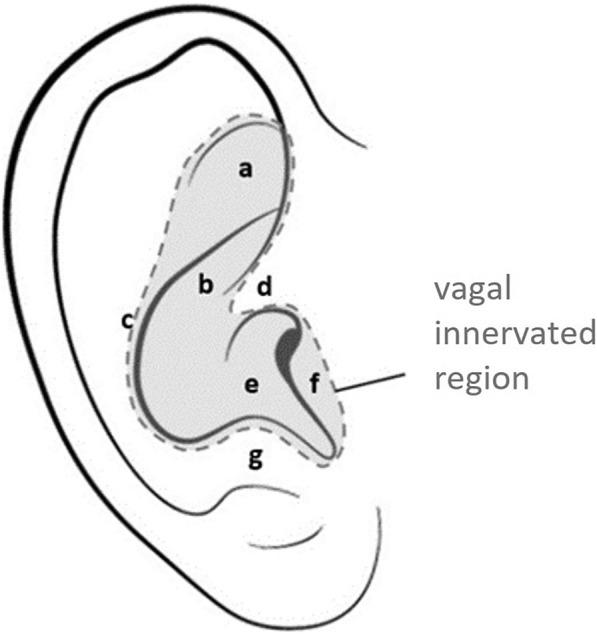 https://cdn.ncbi.nlm.nih.gov/pmc/blobs/71ab/11543973/ae592764b8f6/40122_2024_657_Fig1_HTML.jpg