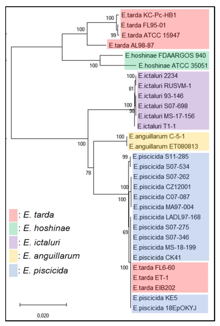https://cdn.ncbi.nlm.nih.gov/pmc/blobs/71ac/10003444/99524932f76c/ijms-24-04768-g002.jpg
