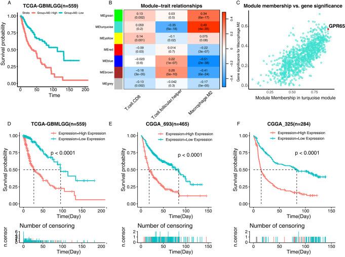 https://cdn.ncbi.nlm.nih.gov/pmc/blobs/71ac/11315802/034b258b1cb9/10143_2024_2633_Fig1_HTML.jpg