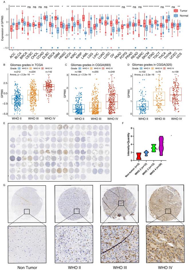 https://cdn.ncbi.nlm.nih.gov/pmc/blobs/71ac/11315802/11bb10ea0378/10143_2024_2633_Fig2_HTML.jpg