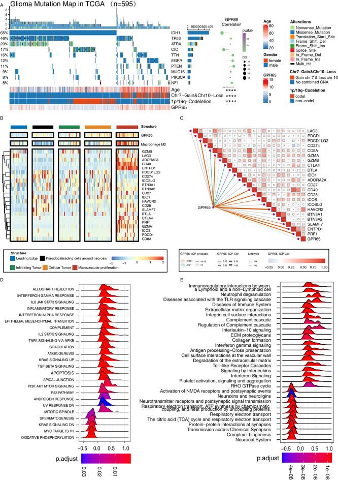 https://cdn.ncbi.nlm.nih.gov/pmc/blobs/71ac/11315802/eb8efb5fbdcb/10143_2024_2633_Fig3_HTML.jpg