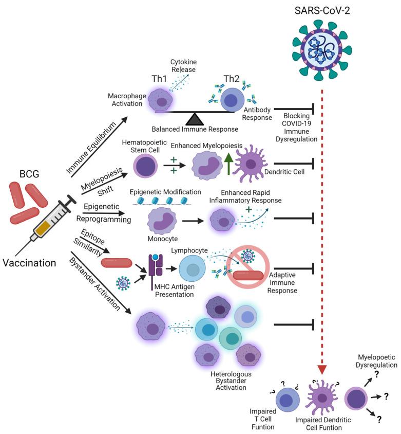 https://cdn.ncbi.nlm.nih.gov/pmc/blobs/71ac/8539044/4dbeef1c7722/microorganisms-09-02120-g001.jpg