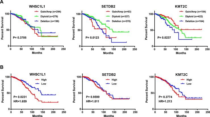 https://cdn.ncbi.nlm.nih.gov/pmc/blobs/71ae/4385864/4ff7b24b65f7/oncotarget-06-2466-g006.jpg