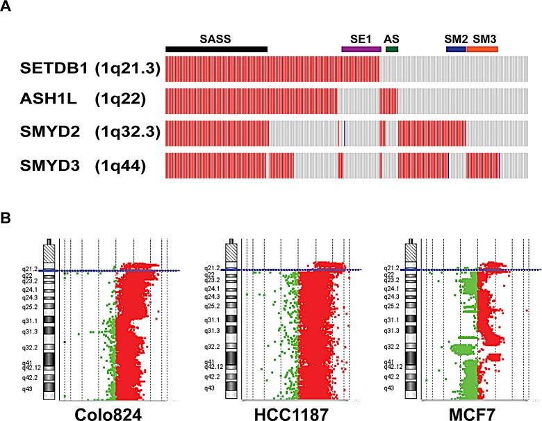 https://cdn.ncbi.nlm.nih.gov/pmc/blobs/71ae/4385864/f46c15307d63/oncotarget-06-2466-g004.jpg