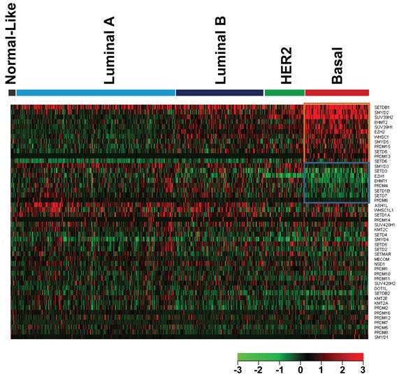 https://cdn.ncbi.nlm.nih.gov/pmc/blobs/71ae/4385864/fb1babb2a73f/oncotarget-06-2466-g002.jpg