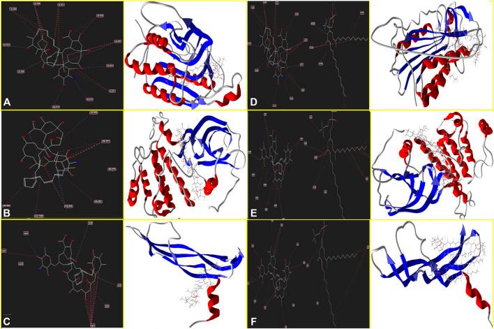 https://cdn.ncbi.nlm.nih.gov/pmc/blobs/71b0/9214246/4239487fa00a/fphar-13-860598-g004.jpg