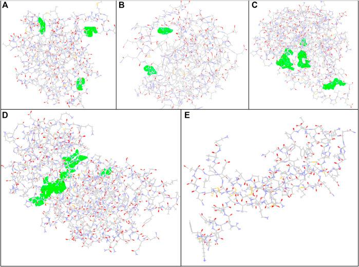 https://cdn.ncbi.nlm.nih.gov/pmc/blobs/71b0/9214246/42e744974843/fphar-13-860598-g002.jpg
