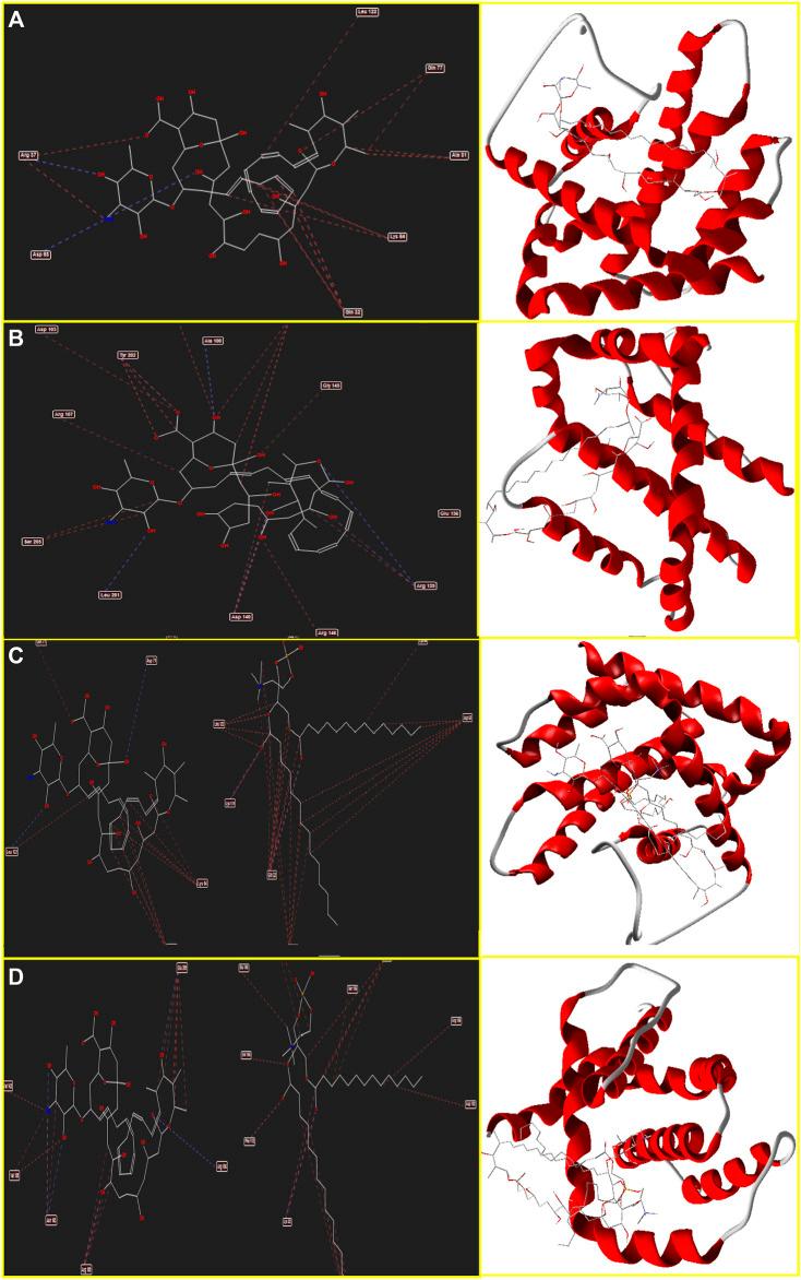 https://cdn.ncbi.nlm.nih.gov/pmc/blobs/71b0/9214246/43a271a03e88/fphar-13-860598-g003.jpg