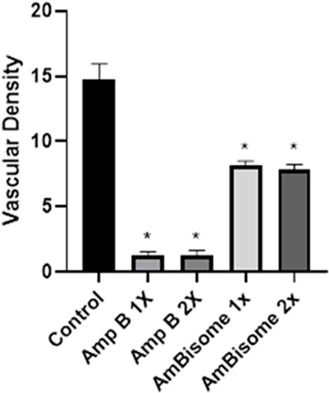 https://cdn.ncbi.nlm.nih.gov/pmc/blobs/71b0/9214246/98269d0252fd/fphar-13-860598-g006.jpg