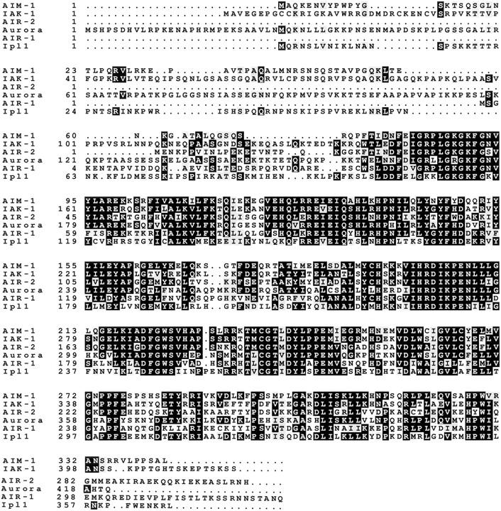 https://cdn.ncbi.nlm.nih.gov/pmc/blobs/71b1/2132979/858b07c77241/JCB9807011.f1.jpg