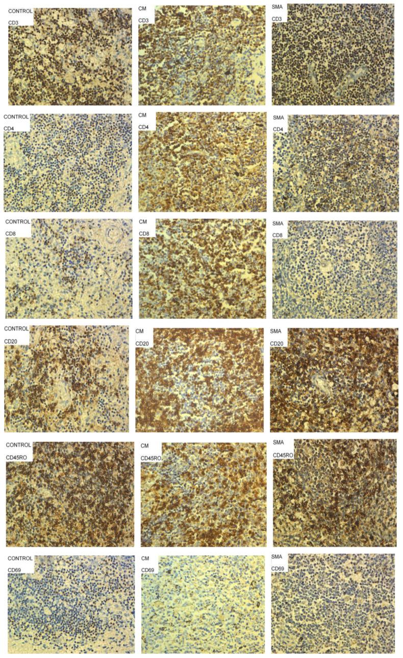 https://cdn.ncbi.nlm.nih.gov/pmc/blobs/71b1/9413449/0ca4d227cc1a/pathogens-11-00851-g004.jpg