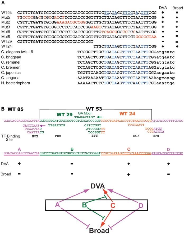 https://cdn.ncbi.nlm.nih.gov/pmc/blobs/71b4/3557239/44ce582e448b/pone.0054971.g008.jpg
