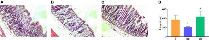 https://cdn.ncbi.nlm.nih.gov/pmc/blobs/71b4/9748289/d82f0542908e/fmicb-13-1065780-g004.jpg