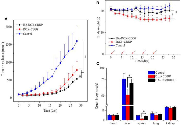 https://cdn.ncbi.nlm.nih.gov/pmc/blobs/71b5/7485461/11c7bcb90ca5/fphar-11-532457-g006.jpg